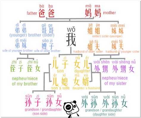 Learn Chinese Relative Addresses in an Easy Way –relatives in my family