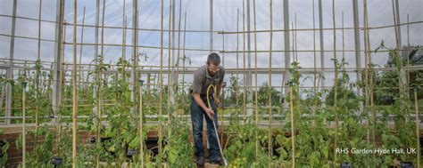 Custom Made Greenhouse - Hartley Botanic