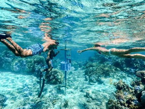 Bora Bora: Lagoon Tour and Snorkeling Experience | GetYourGuide