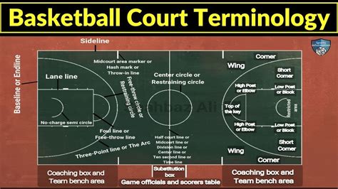 What Are The Parts Of A Basketball Court Called | EOUA Blog