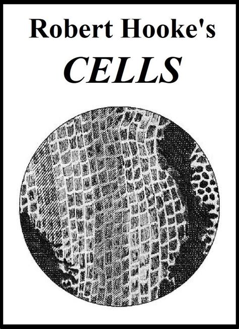 Abiogenesis - Robert Hooke's Cork "Cells". Perhaps his... | Facebook