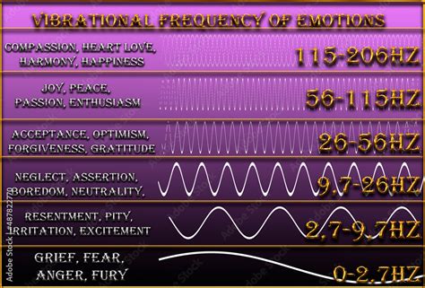 vibrational frequency of human emotions. basic frequency levels ...