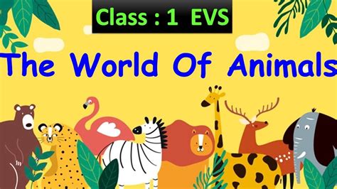 The World Of Animals | Class : 1 EVS | Types Of Animals | CBSE / CAIE ...