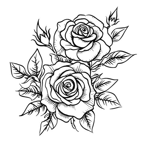 Rose Drawing Outline Google Search Flowers Pinterest Rose | The Best ...