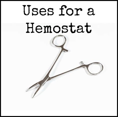 Uses for a Hemostat | ThriftyFun