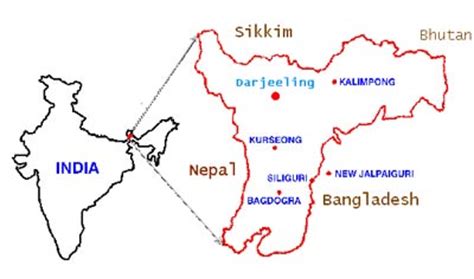 Darjeeling Tea Introduction, history and process