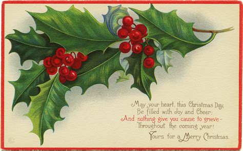 Stetcher Holly and Berries ~ Free Christmas Image | Old Design Shop Blog