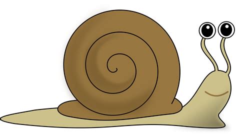 black and white snail clip art - Clip Art Library