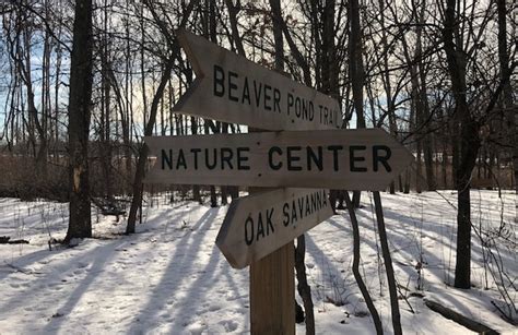 Hiking at Springbrook Nature Center • Twin Cities Outdoors