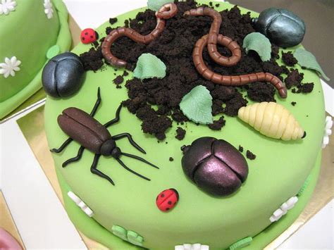 bug cake | Bug cake, Bug birthday cakes, Cake decorating