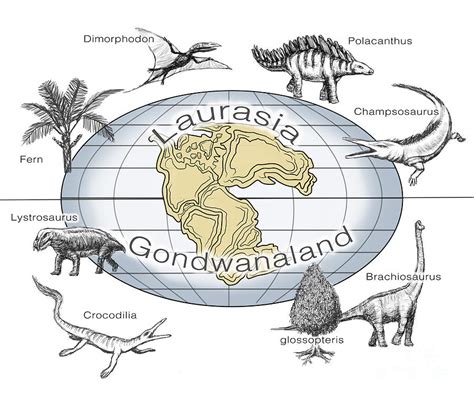 Laurasia And Gondwana, Illustration Photograph by Spencer Sutton - Pixels