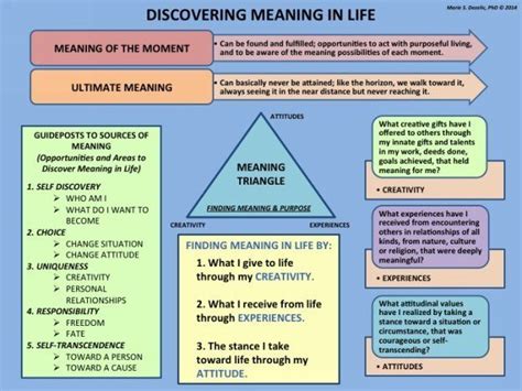 Meaning-Centered Therapy Workbook: Based on Viktor Frankl's Logotherapy ...