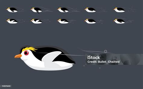 Penguin Royal Swimming Animation Frame Cute Cartoon Vector Illustration ...