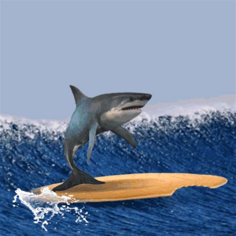 Download Animal Shark Gif - Gif Abyss