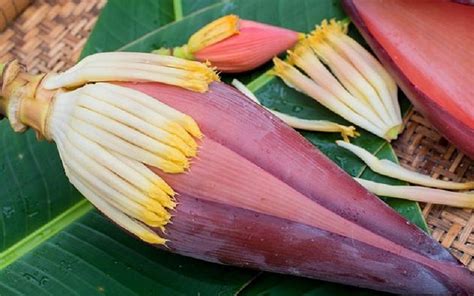 Tiga Manfaat Jantung Pisang Bagi Kesehatan Tubuh | Laman 2 dari 2 ...