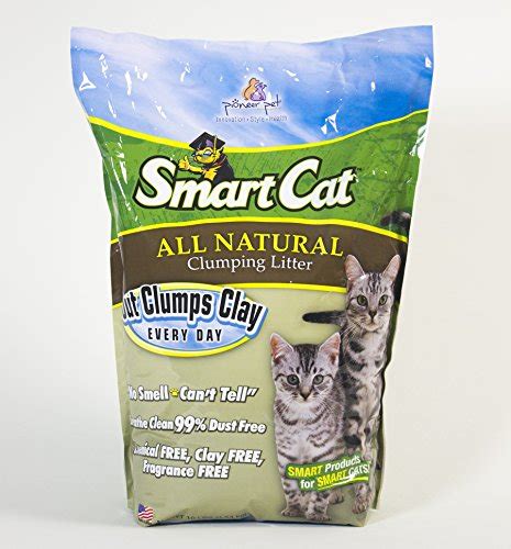 10 Best Dust-Free Cat Litter Brands (2023 Reviews)