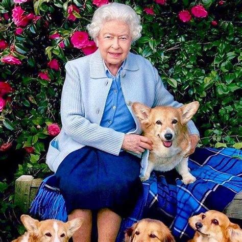 The Queen & Her Corgis - Pawz & Me