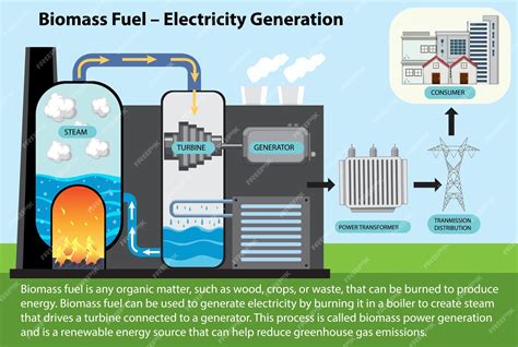 Biomass Energy Plant Diagram