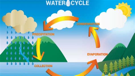 Water Cycle Condensation