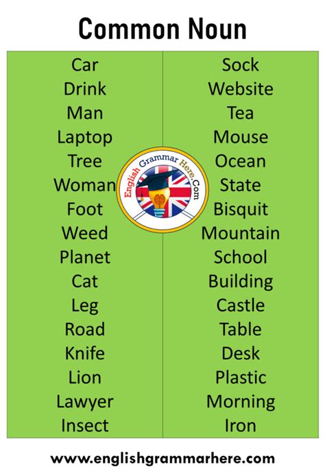 What is Common Noun with Example, Common Noun List - English Grammar Here