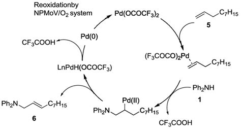 Scheme 6. Another possible reaction mechanism (aza-Wacker process ...