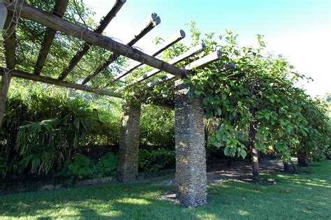 Vine pergola | Rustic gardens, Garden arch, Outdoor