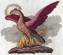 Phoenix (mythology) - Wikipedia