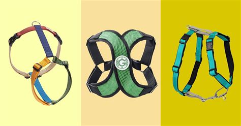 Different Types Of Harnesses For Dogs | tunersread.com