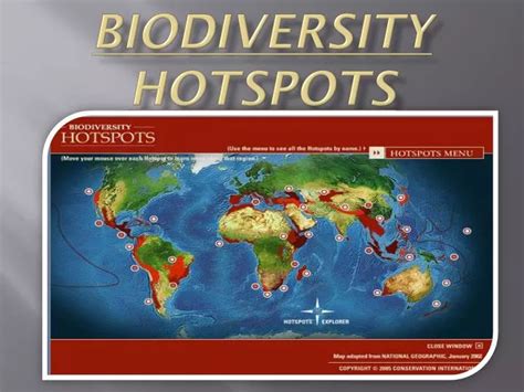 PPT - Biodiversity hotspots PowerPoint Presentation - ID:2112841