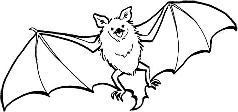 Printable Bat Pictures To Color - Printable Word Searches