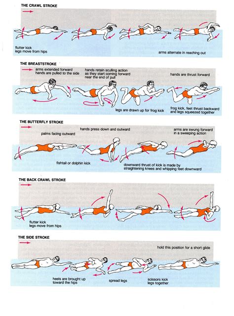 swimming strokes | health and fitness | Pinterest