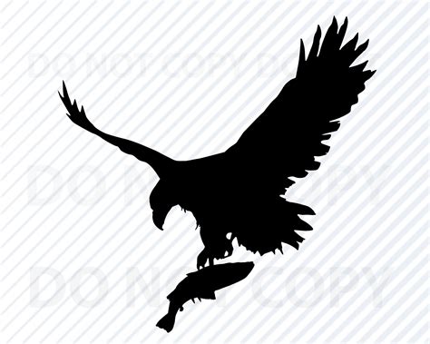 Eagle Clipart Svg For Silhouette Birds Svg Svg For Cricut PNG EPS Eagle ...