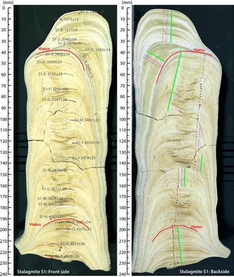 Image of stalagmite S1. Visible are the two sides of the central slab ...