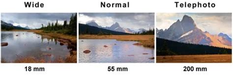 What is a Normal Lens? Definition & Uses of a Standard Lens