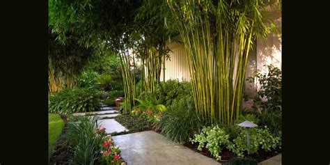 Bamboo Garden Decorating Ideas | Design Trends - Premium PSD, Vector ...