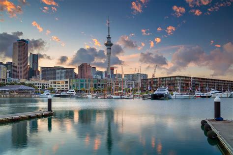 The Complete Business Travellers' Guide to Auckland | Travel Insider