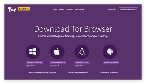 Dark Web Browser: What Is Tor, Is It Safe & How to Use It | Avast