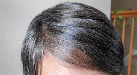 How to Go Gray with Semi-Permanent Hair Color - SparklingSilvers