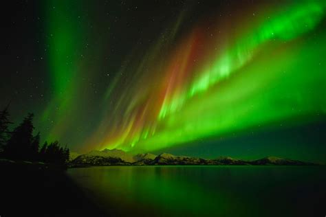 Northern Lights Viewing in Alaska | Travel Alaska