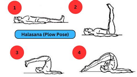 Yoga Asanas to Improve Concentration and Memory: 7 Best Asanas for ...