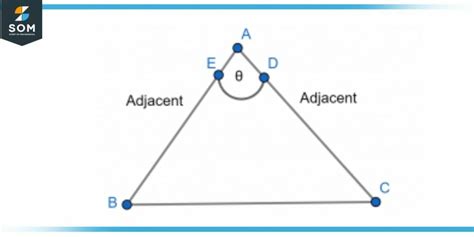 Adjacent Side (Triangle) | Definition & Meaning