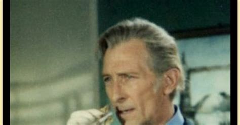 PETERCUSHINGBLOG.BLOGSPOT.COM (PCASUK): PETER CUSHING: POSTER SIZE VAN ...