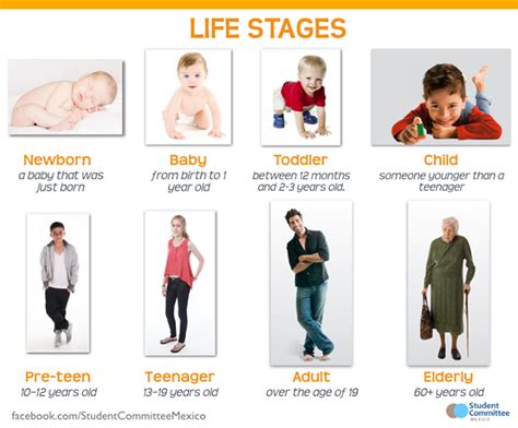 Click on: LIFE STAGES