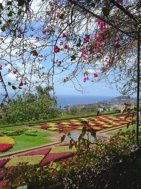 The Botanical Gardens, Funchal, Madeira | Botanical gardens, Funchal ...