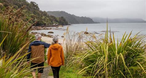 Stewart Island Guided Walks | Everything New Zealand