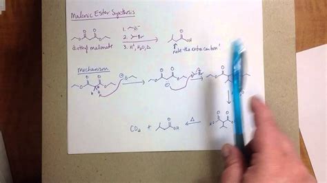 Malonic Ester and Acetoacetic Acid Synthesis - YouTube