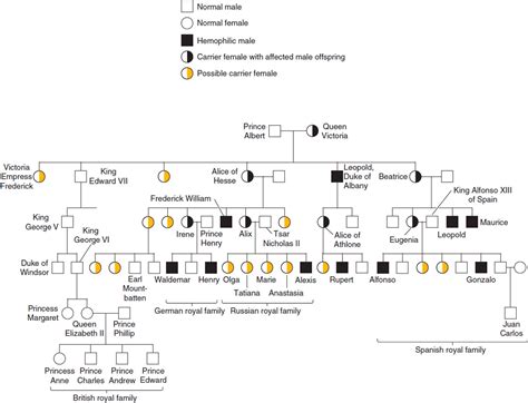 Pedigree Genetics