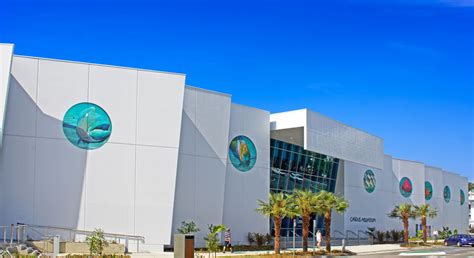 Queensland: Cairns Aquarium & Reef Research Centre in neu eröffnet ...