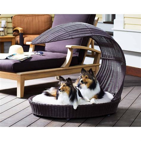 12 Beautiful Dog Beds That Will Instantly Enhance Your Home's Decor ...