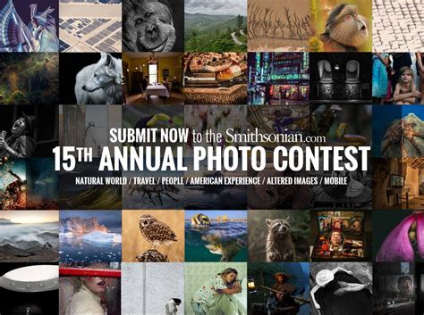 See the Winners of the 21st Annual Smithsonian Magazine Photo Contest ...